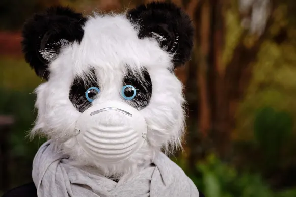 Kasyno Cyber Bingo Wsparcie